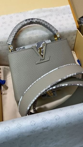 Luis Viton Weamen Bags