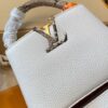 Luis Viton Weamen Bags